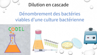 Dessins de matériel de laboratoire pour illustrer la culture bactérienne